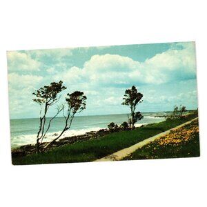 New Hampshire Seashore Drive Vintage Postcard Plastichrome D266 Travel Roadside